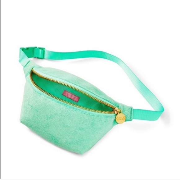 BNWT SCL X Target Collab Fanny Pack - Picture 2 of 3